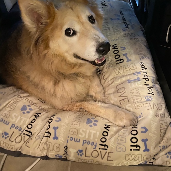 Meet your Posher, Jean - Picture 6 of 11